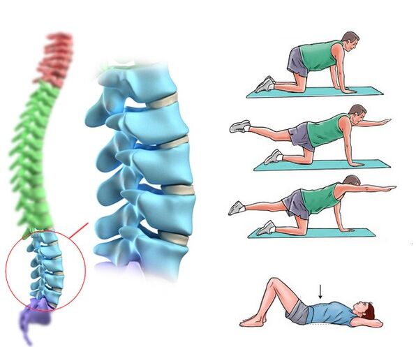 Fisioterapia y masaje