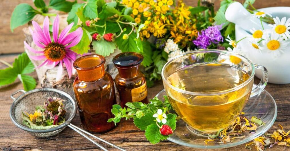 Infusiones herbales para el tratamiento de la osteocondrosis cervical