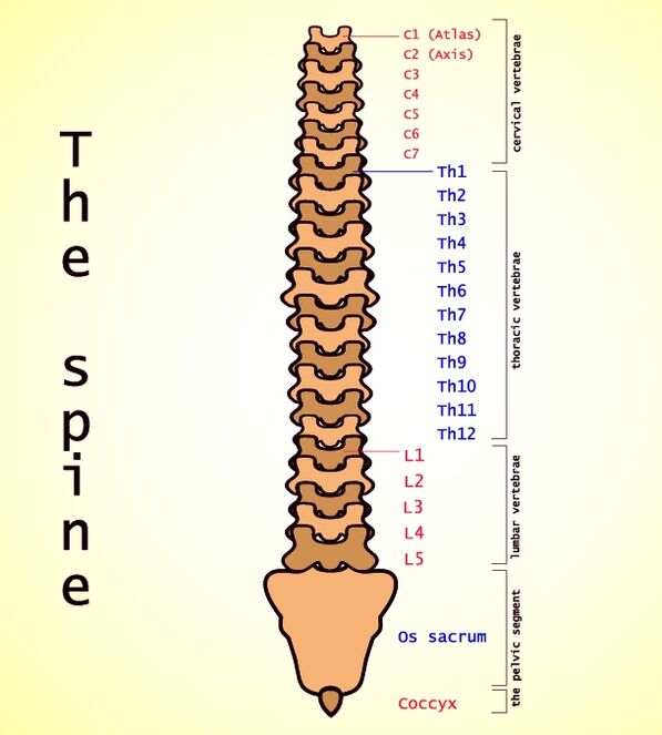 osteocondrosis lumbar